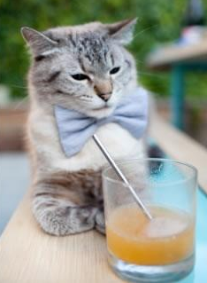 星光下的决断，东决关键战之夜，拉什福德关键回合不手软