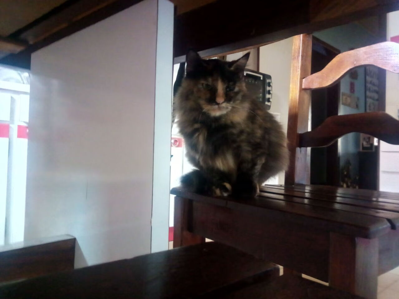 绝境双城记，当团队利刃刺穿孤星，梅西化身关键先生启示录