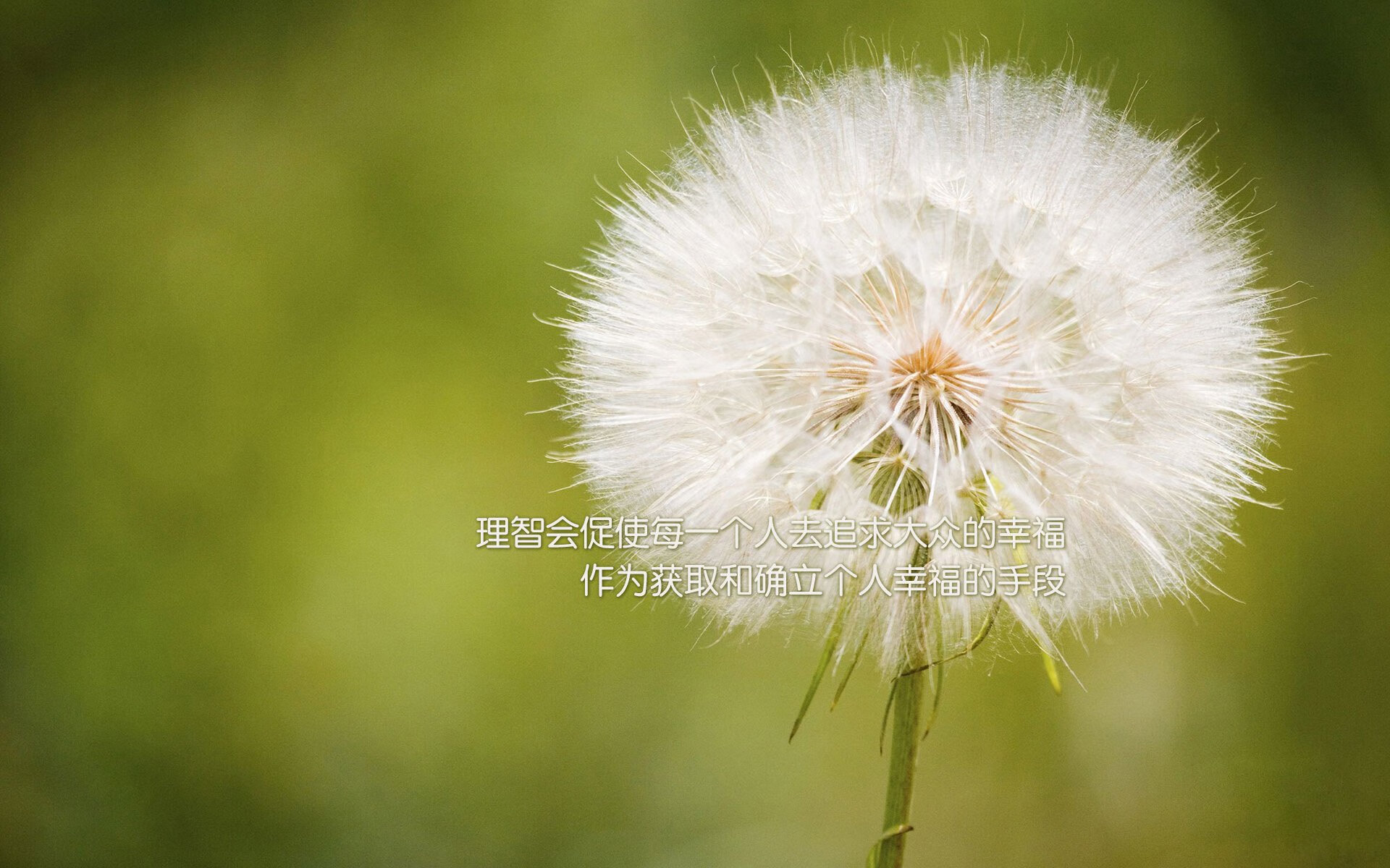 凯恩里程碑之夜,比利亚雷亚尔大胜玻利维亚,足球世界的双重荣耀