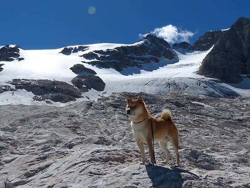 欧冠半决赛之夜,福克斯存在感拉满,技术与激情共舞