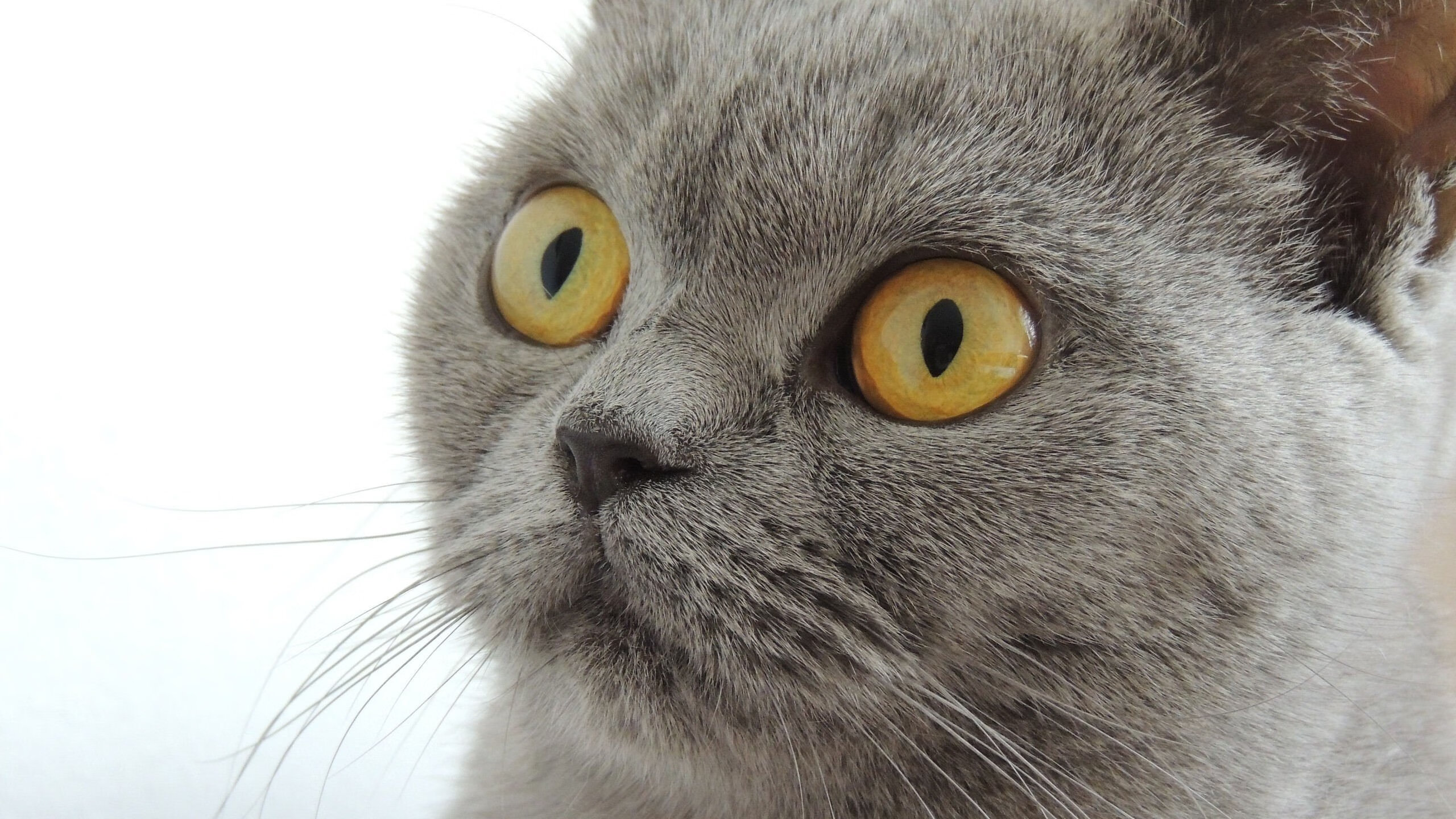 极寒之地的热舞，当芬兰血拼牙买加，梅西在何处拉满评分？