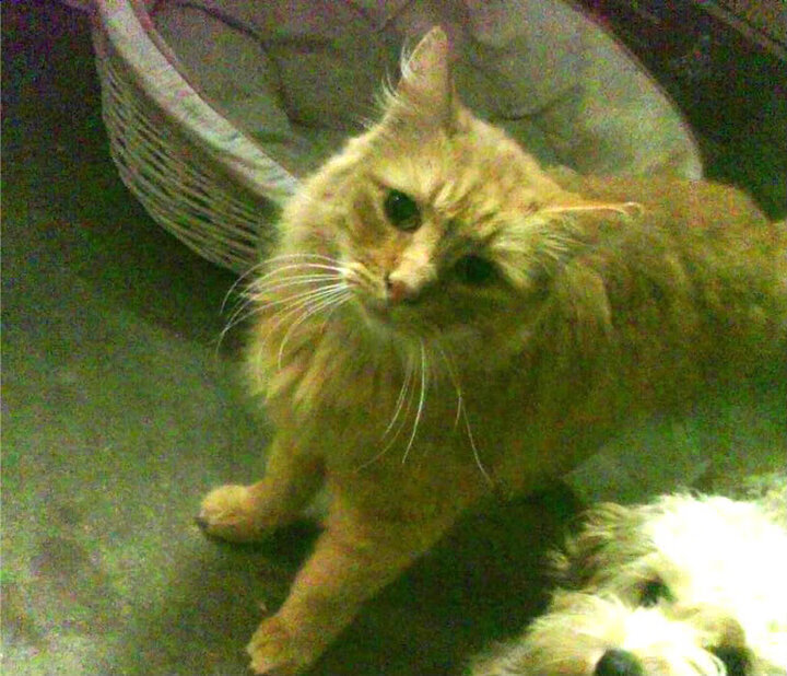 挪威钢铁防线封锁乌拉圭,伊萨克化身关键先生定乾坤