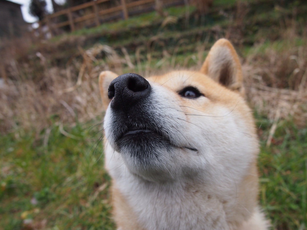爱德华兹封神之战，在国王与勇士的对决中加冕