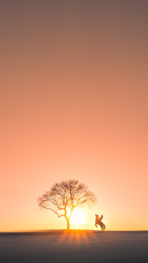 战术绞索，雷恩的精密压制如何让阿尔及利亚窒息，奥利维耶统治级数据背后的权力密码